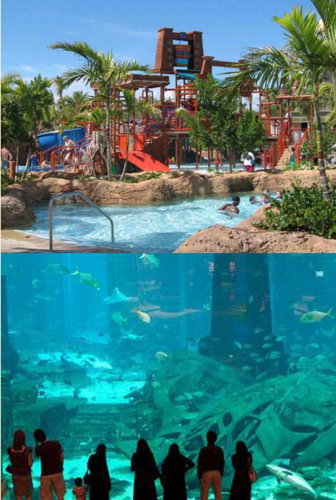 Dubai DMC - Aquaventure Dubai DMC - Aquaventure