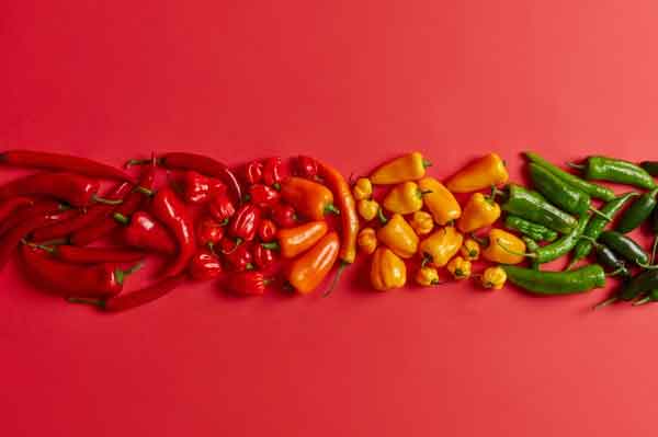 mexico dmc makes chilli dishes