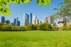 Destination management companies las vegas