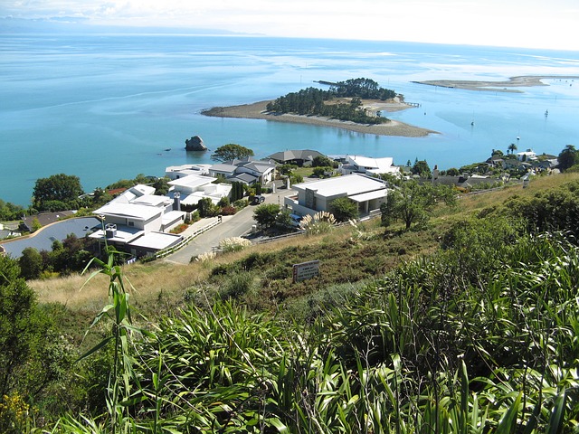Nelson
