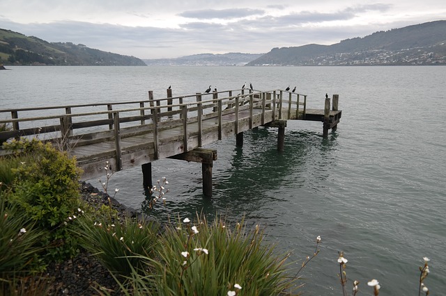 Dunedin
