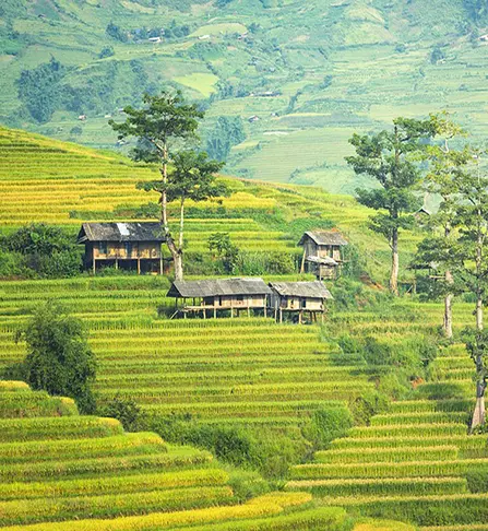 Bali