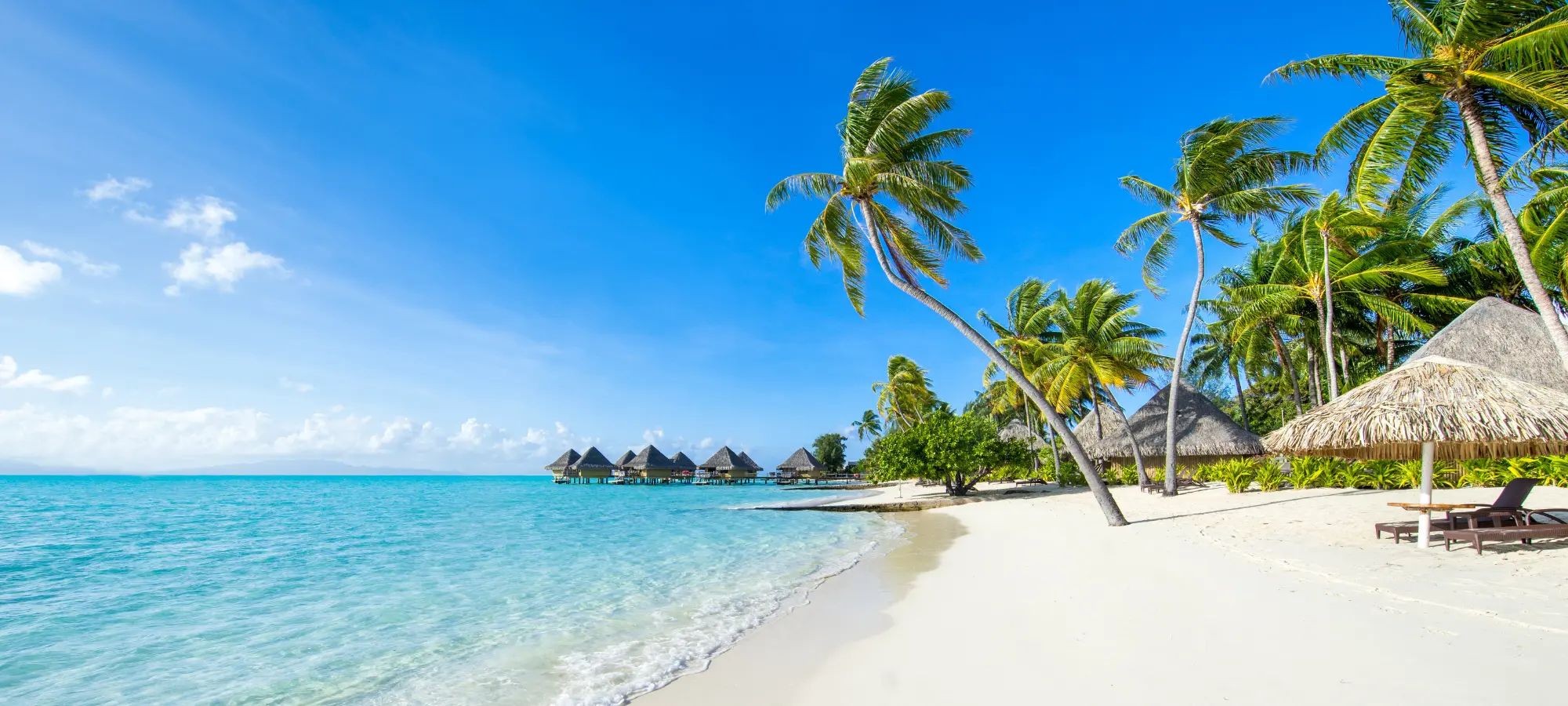 Caribbean
