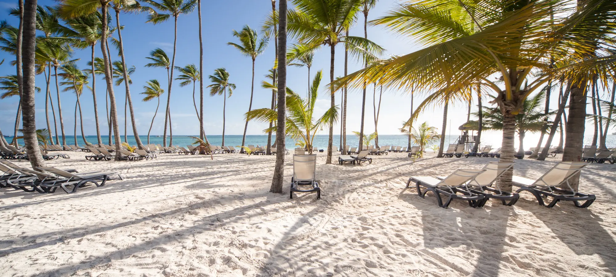 Destination management company St. Lucia