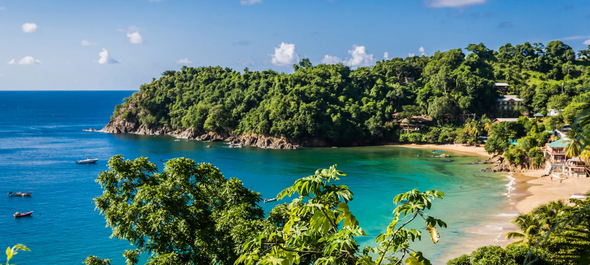 Tobago DMC services