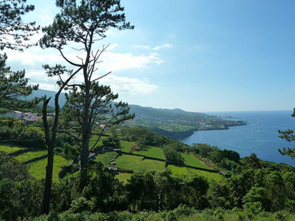 DMC Portugal - The Azores