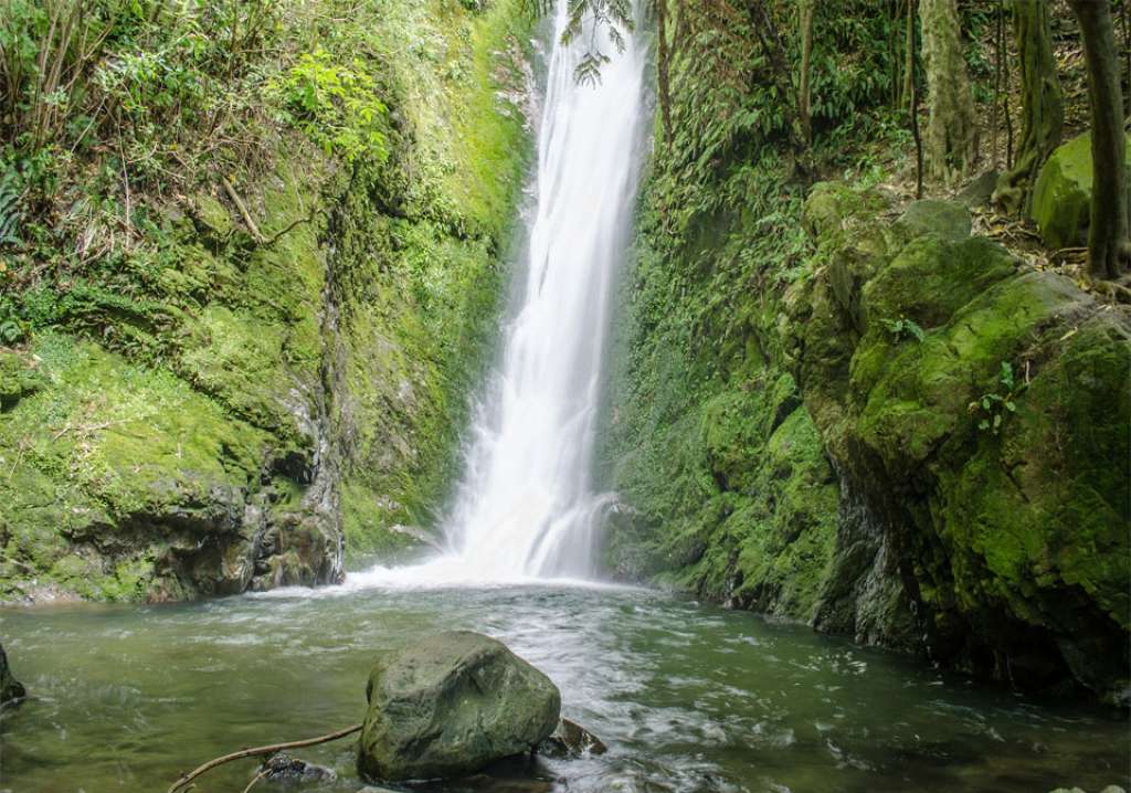 New Zealand Waterfall