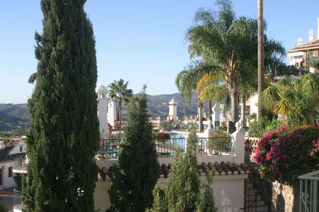 Palmtrees