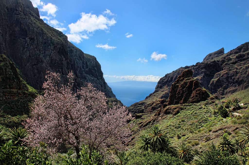 Landscape in Tenerife