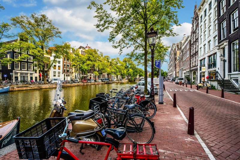DMC Netherlands
