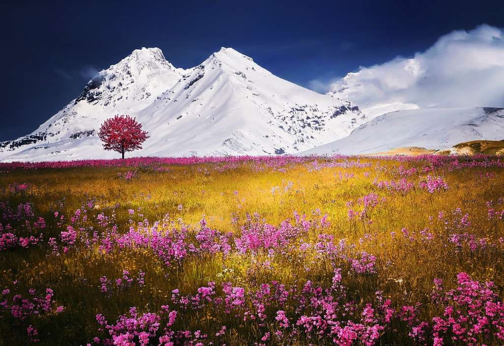 DMC Switzerland