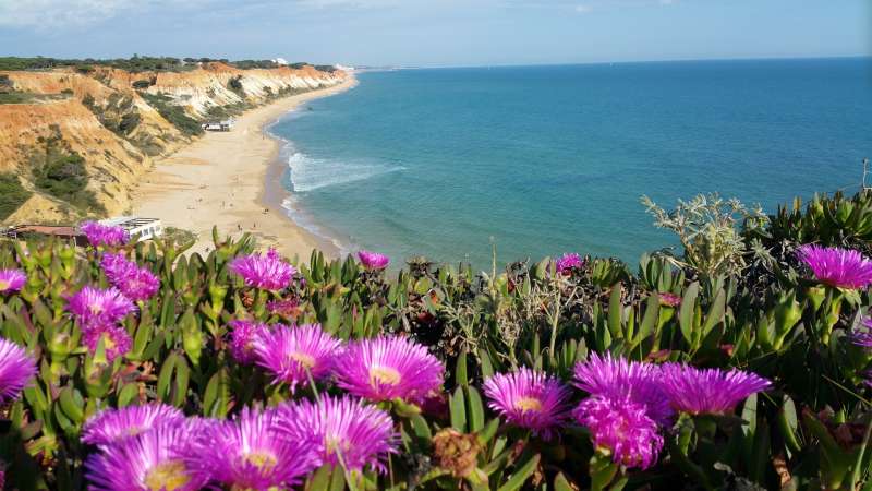 DMC Portugal - Algarve